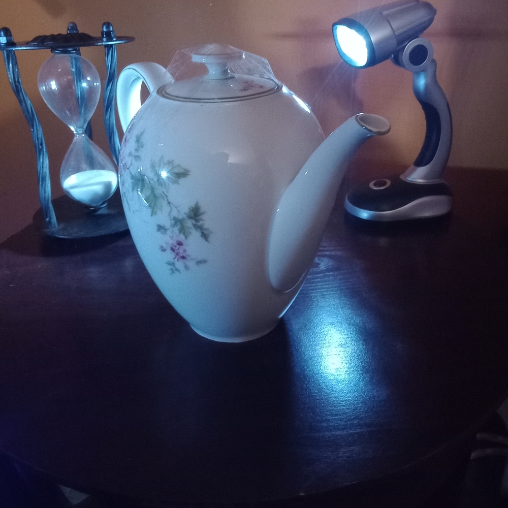 This is a beautiful Bavarian antique German Porcelain Teapot.